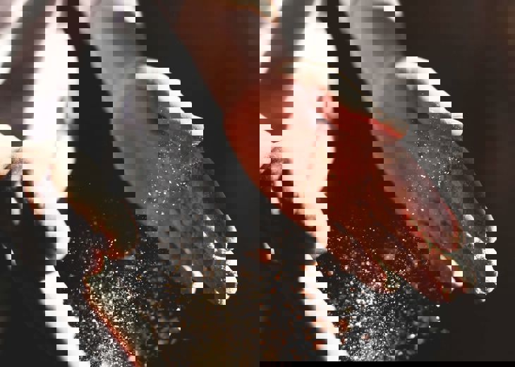 Austin Ban Is6rwpuejpy Unsplash